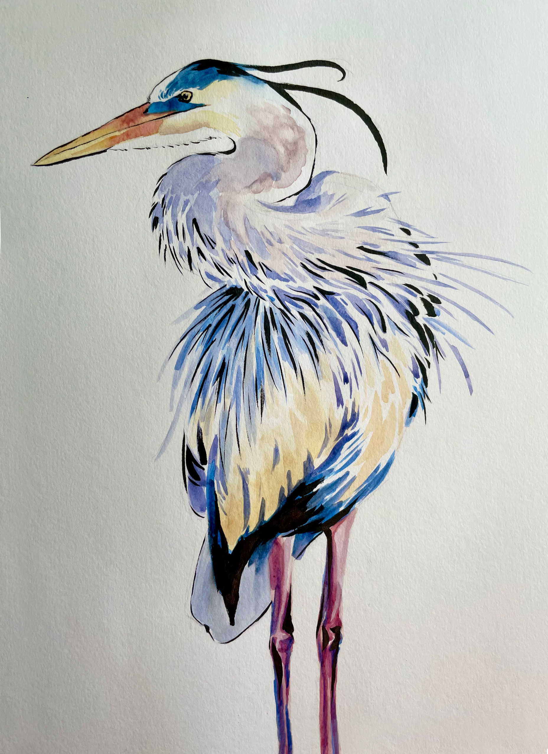 Stork